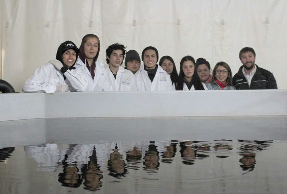 Los alumnos del Liceo Técnico Profesional visitaron la piscicultura Río Hollemberg y la planta de procesos de Salmones Magallanes. Foto: Salmonicultores de Magallanes.