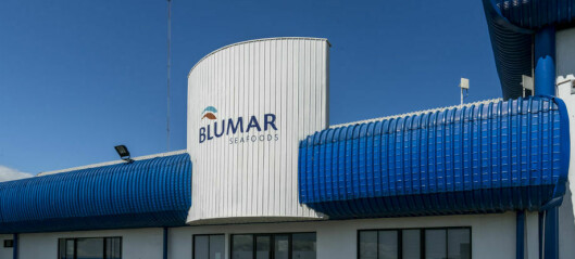 La recuperación salmonicultora en Blumar quintuplica sus ganancias