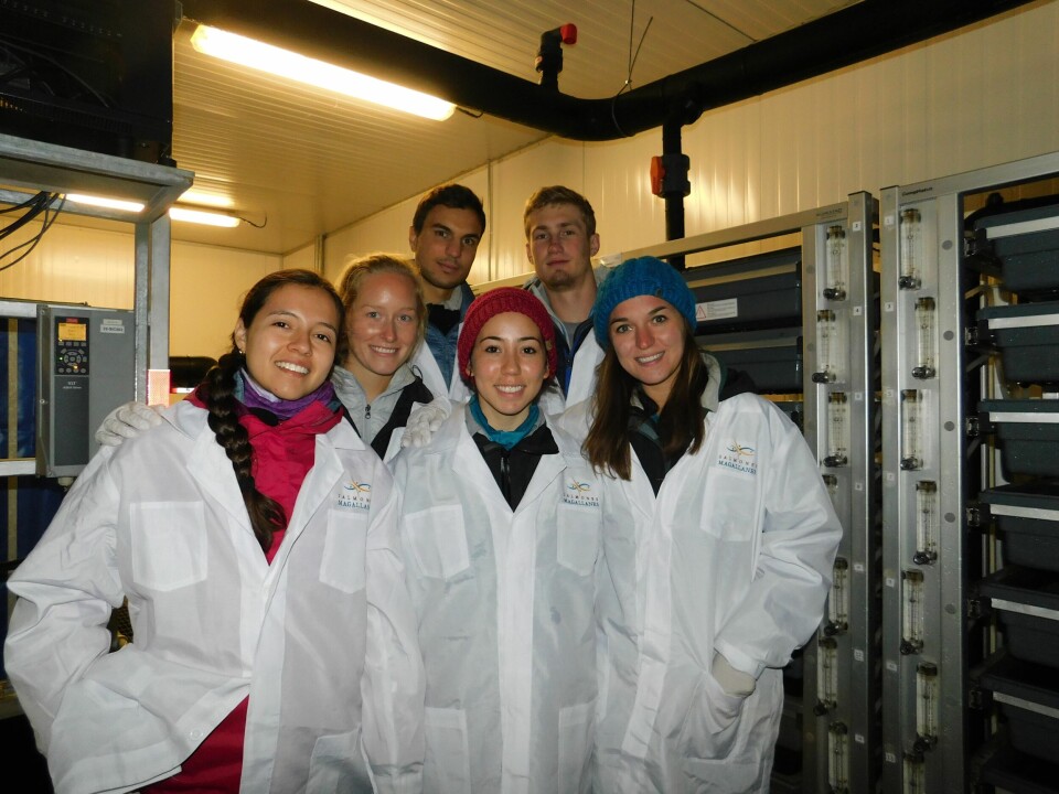 Alumnos de la Universidad de Standford visitando la Río Hollemberg. Foto: Salmones Magallanes.