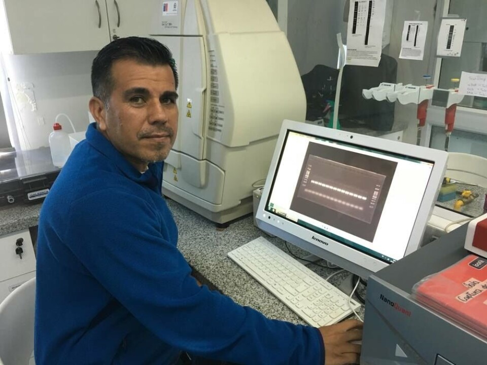 Dr. Rubén Avendaño-Herrera. Foto: Archivo Salmonexpert.