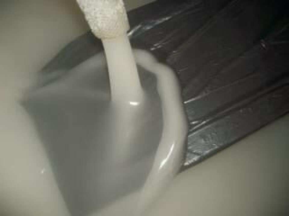 La última era del hielo