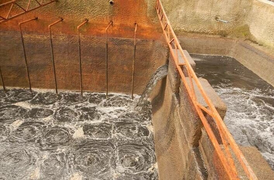 Proceso de nitrificación de líquidos en planta de Rilesur. Foto: Rilesur.