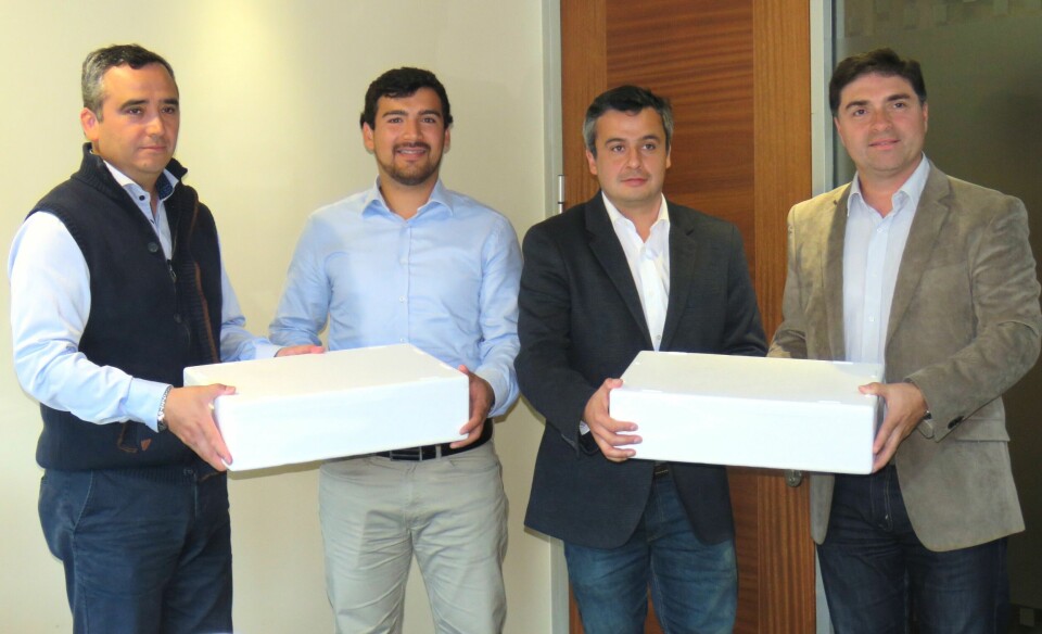Claudio Retamal, gerente general Europharma; Matías Valerio, ganador del concurso; Carlos Contreras, mención honrosa y Claudio Aguilera, gerente comercial Europharma. Foto: Karla Faúndez, Salmonexpert.