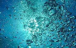 Evalúan aplicación directa de ozono en acuicultura