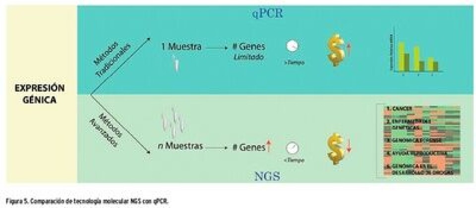 La caligidosis, una parasitosis que complica a la salmonicultura chilena