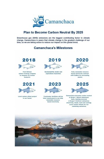 Hitos relevantes de la estrategia para la carbononeutralidad. Foto: Salmones Camanchaca.