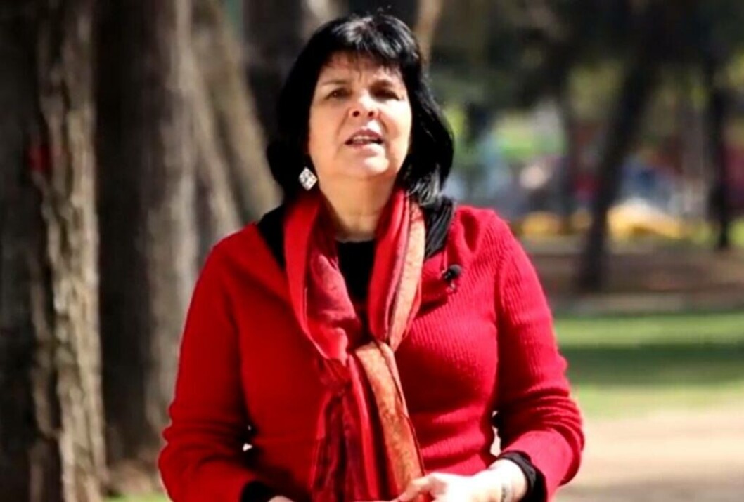Flavia Liberona, directora ejecutiva de Fundación Terram. Foto: Fundación Terram. Flavia Liberona, directora ejecutiva de Fundación Terram. Foto: Fundación Terram.