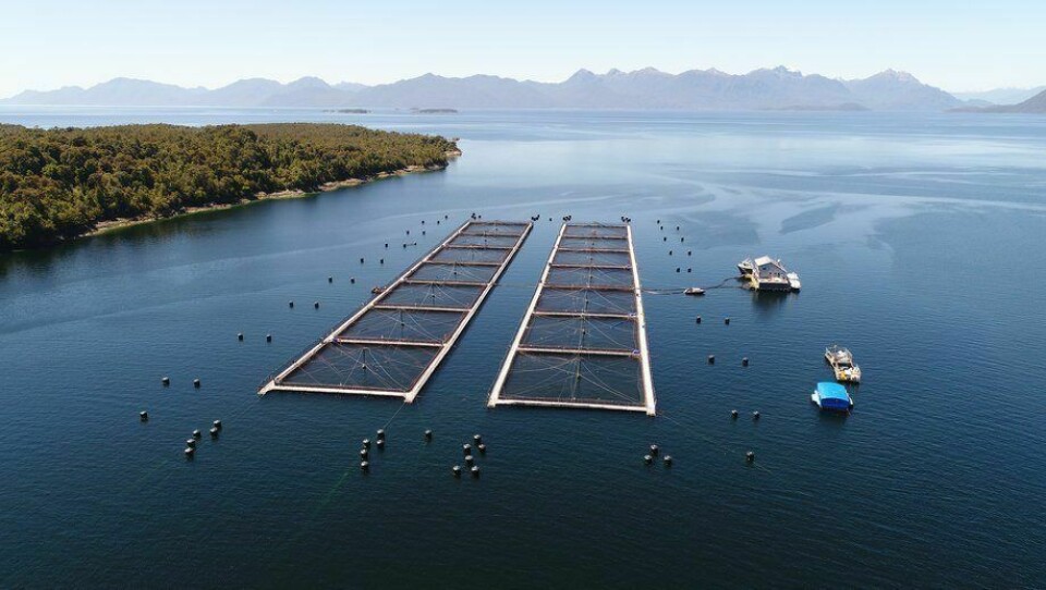 El PTI “Desarrollo Competitivo de Canales y Fiordos de Aysén”, busca potenciar la competitividad de la industria del salmón en la región, principalmente en sus proveedores.
