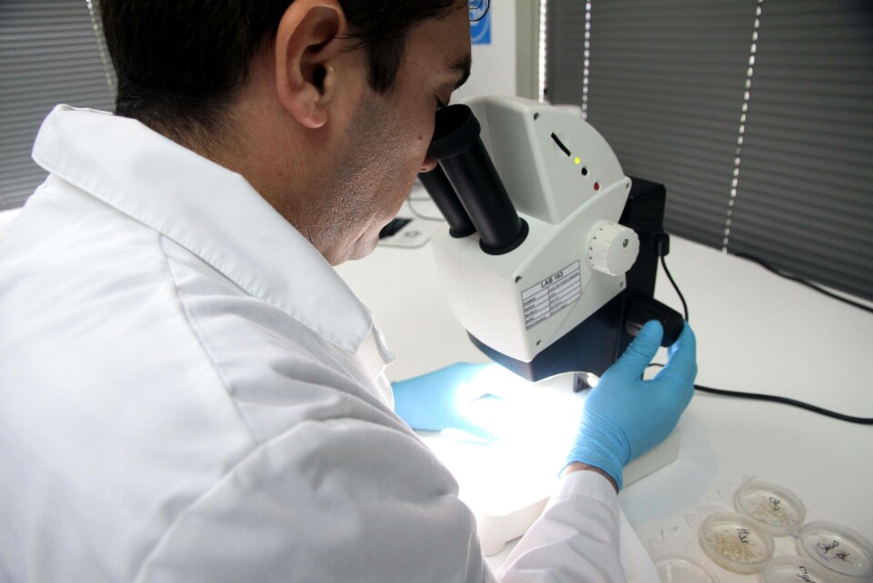 Laboratorio de MHC primero en obtener acreditación para bioensayos de Caligus