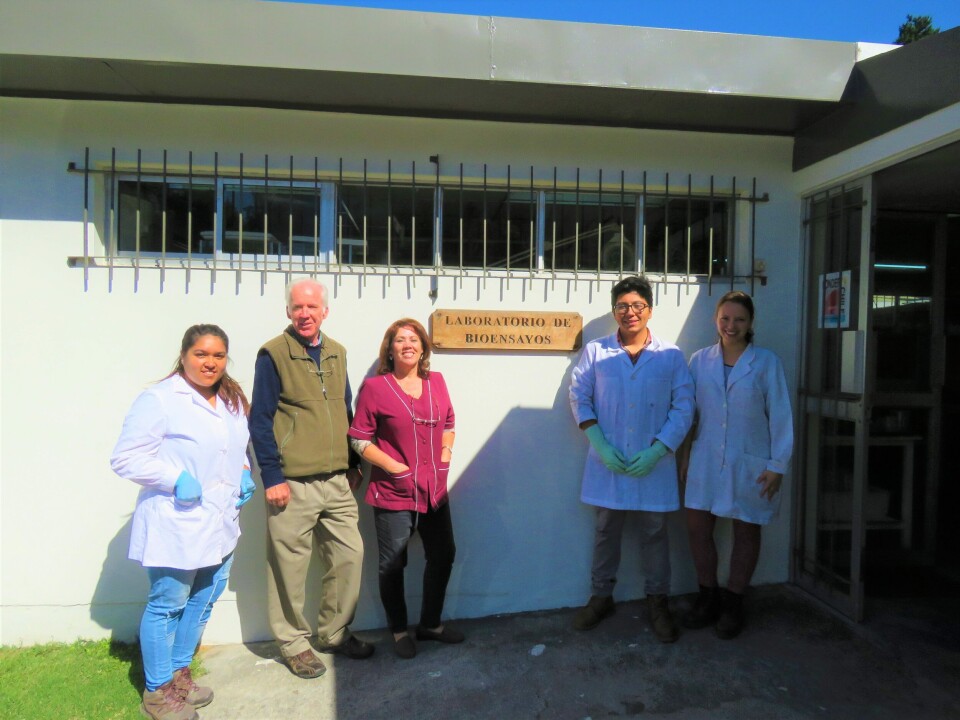 Equipo de trabajo del Laboratorio de ecotoxicología. Foto: Francisco Soto, Salmonexpert.