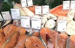 Nueve productores de salmón chileno siguen bloqueados por Rusia