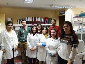 Taller de microalgas. Imagen: IFOP. Taller de microalgas. Imagen: IFOP.