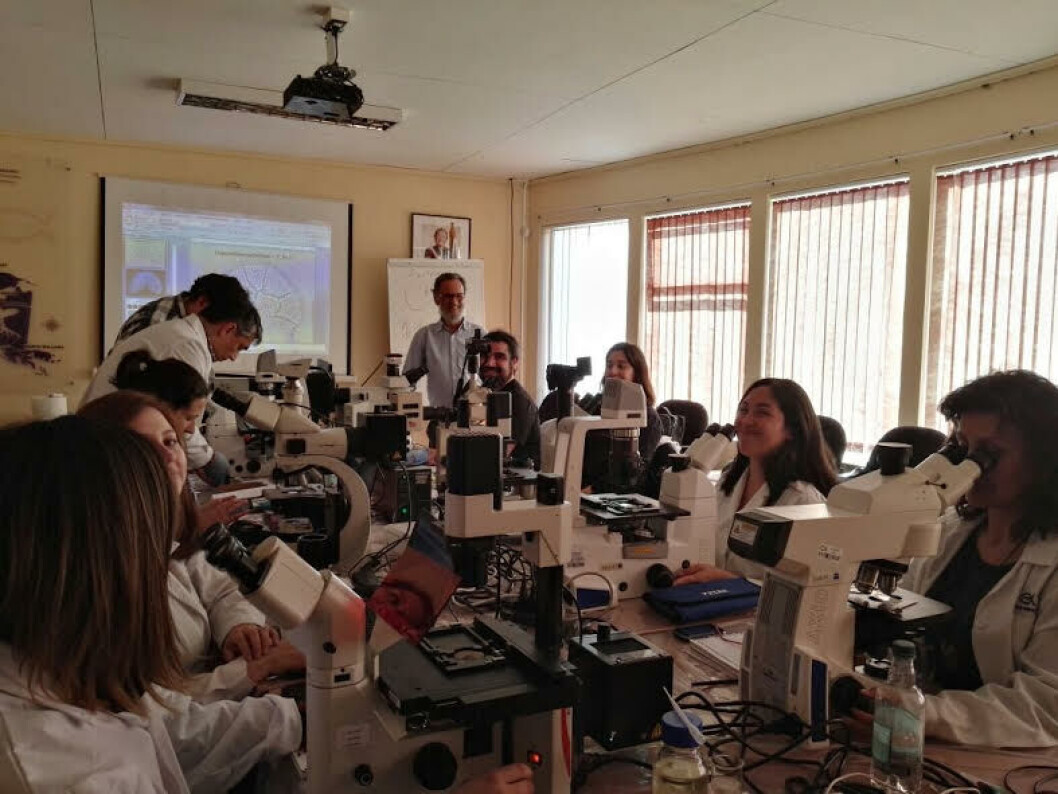 Taller de microalgas. Imagen: IFOP. Taller de microalgas. Imagen: IFOP.