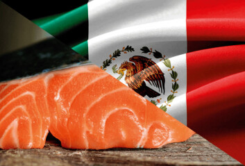México se mantiene como el quinto mercado más importante para el salmón chileno. Fotomontaje: Salmonexpert / Fotografías: Pixabay. México se mantiene como el quinto mercado más importante para el salmón chileno. Fotomontaje: Salmonexpert / Fotografías: Pixabay.