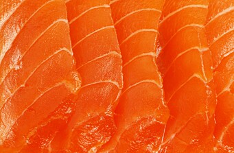 Exportaciones de salmón chileno continúan su rally alcista en ganancias
