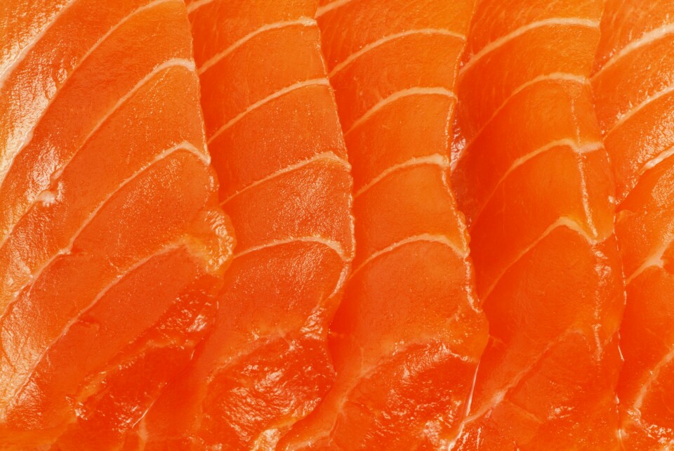 Entre enero y mayo de este año se incrementaron en un 30% los retornos de exportación de salmón chileno. Foto: Pixabay.