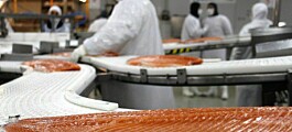 Exportaciones de salmón chileno caen 9,3% en mayo