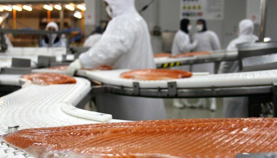 Exportaciones de salmón chileno no entregan las mejores noticias al inicio de año