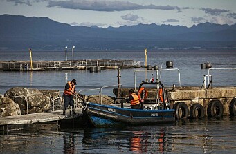 Las lecciones ambientales que dejó el 2020 para la salmonicultura chilena