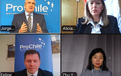 Las nuevas oportunidades para productos del mar chilenos en Estados Unidos y China