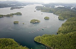 Las oportunidades para los proveedores acuícolas chilenos en Canadá