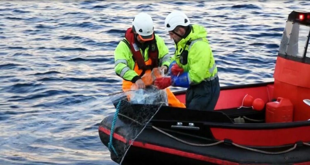 El kit incluye una red que puede ser fácilmente desplegada en caso de un escape menor. Imagen: AllMarine. El kit incluye una red que puede ser fácilmente desplegada en caso de un escape menor. Imagen: AllMarine.