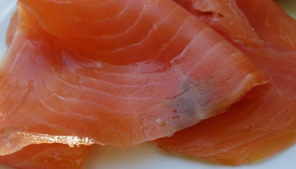 Minsal informa: Alerta alimentaria por Listeria en salmón ahumado