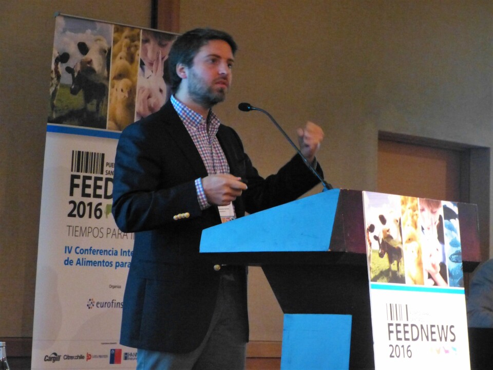 José Francisco Pastene, Senior Commodity Trader in Archer Daniels Midland Company. Foto: Loreto Appel, Salmonexpert.