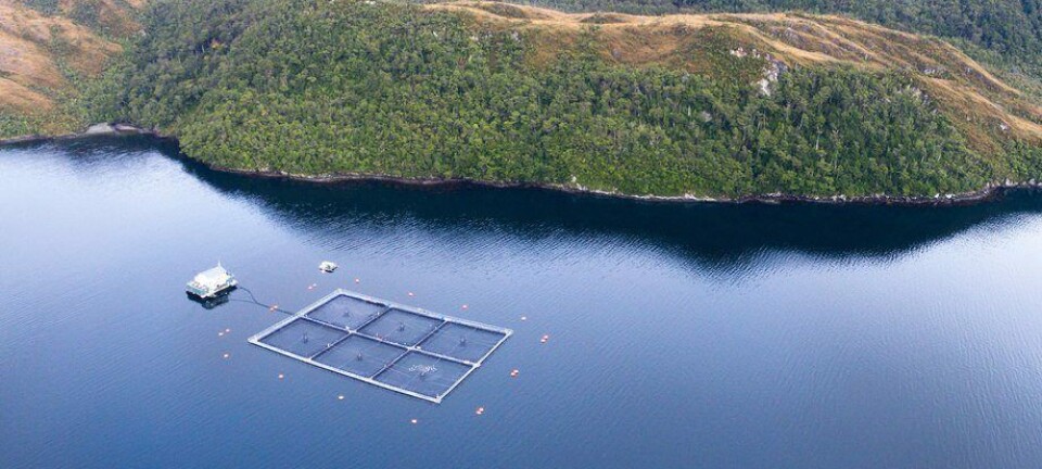 ¿Hay realmente más de 400 concesiones de salmón bajo causal de caducidad?