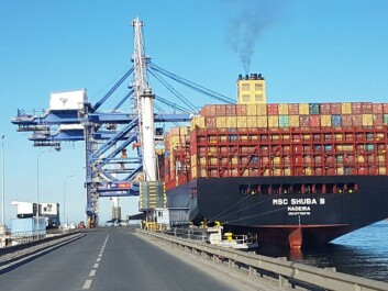Los principales destinos para salmón son para las rutas asociadas a Norteamérica, Asia y Europa. Imagen: MSC. Los principales destinos para salmón son para las rutas asociadas a Norteamérica, Asia y Europa. Imagen: MSC.