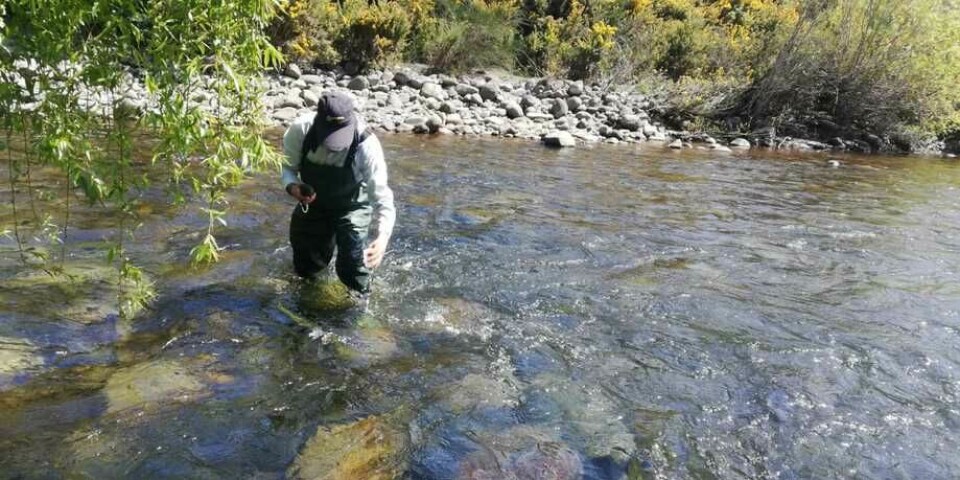 Fiscalización en el Río Pescado. Foto: Sernapesca.
