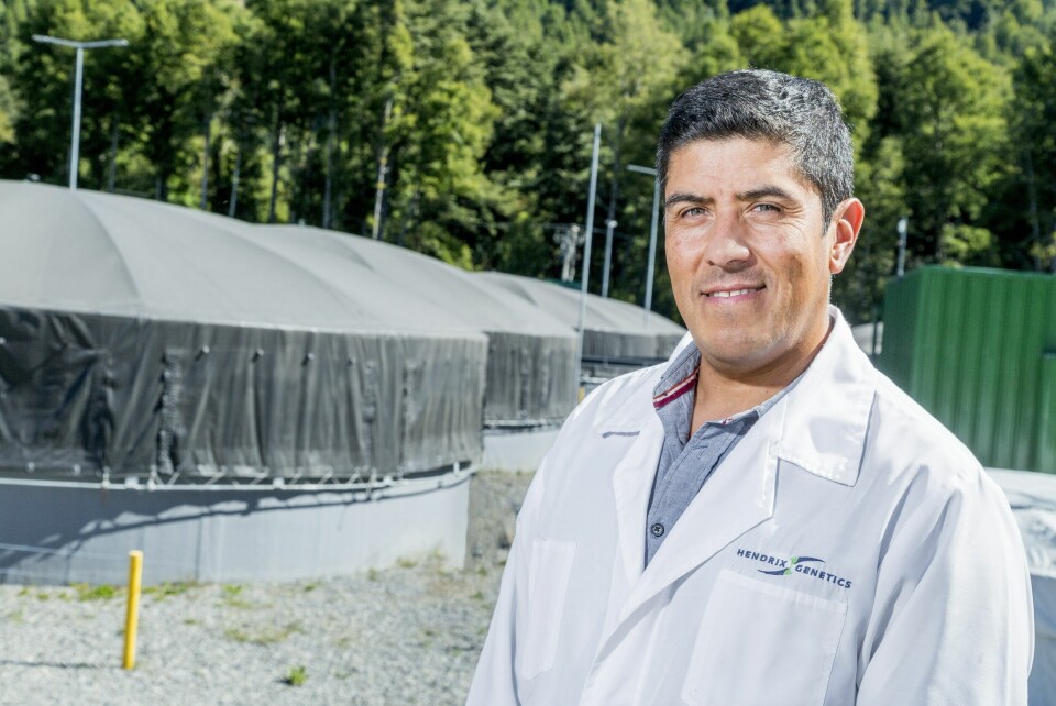 Rodrigo Torrijo, gerente general de Hendrix Genetics en Chile. Foto: Hendrix Genetics.