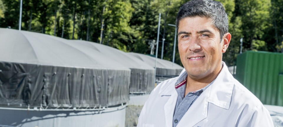 Valor agregado: “será la exportación de tecnología, biotecnología y servicios acuícolas”