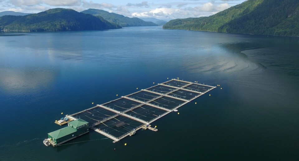 A Marine Harvest farm in British Columbia. Some BC farms are facing demands for closure by First Nations. Photo: Marine Harvest