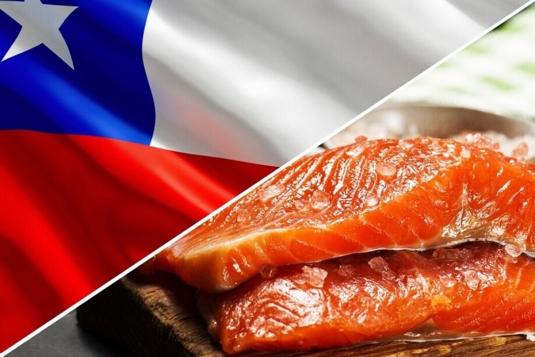 Dos mercados latinoamericanos destacan entre los que tuvieron mayor crecimiento a mayo de este año. Foto: Archivo Salmonexpert. Dos mercados latinoamericanos destacan entre los que tuvieron mayor crecimiento a mayo de este año. Foto: Archivo Salmonexpert.