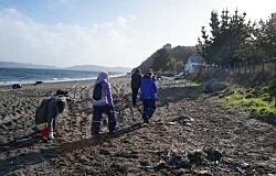 Los planes de Mowi, AquaChile, Cermaq y Salmones Aysén para playas sumidero