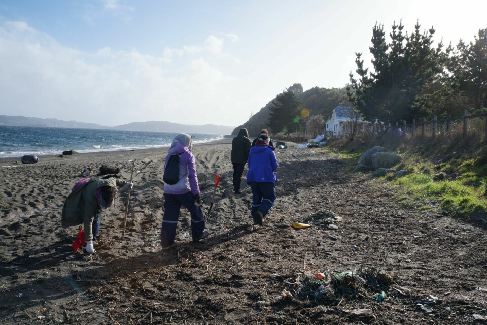 Limpieza de playas sumidero en Aldachildo. Foto: Consejo del Salmón.