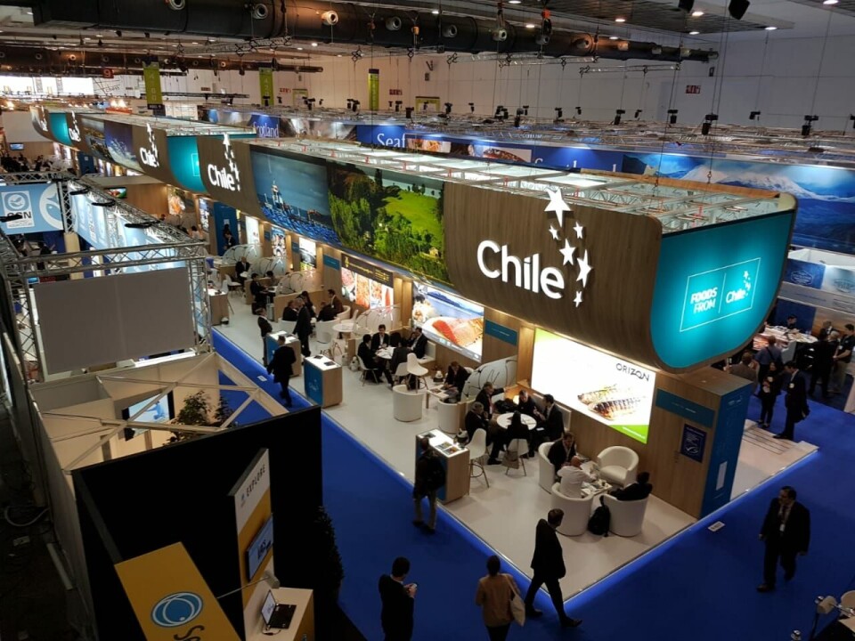 Participación chilena en la Seafood Expo Global 2019. Foto: ProChile.