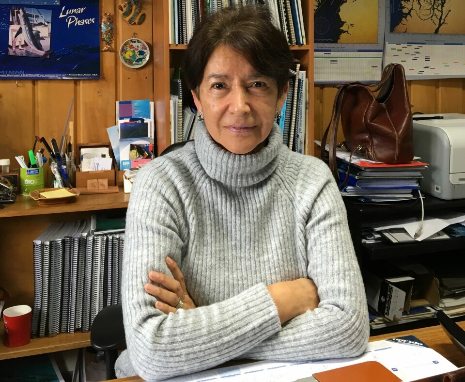 Dra. Sandra Bravo. Foto: UACh.
