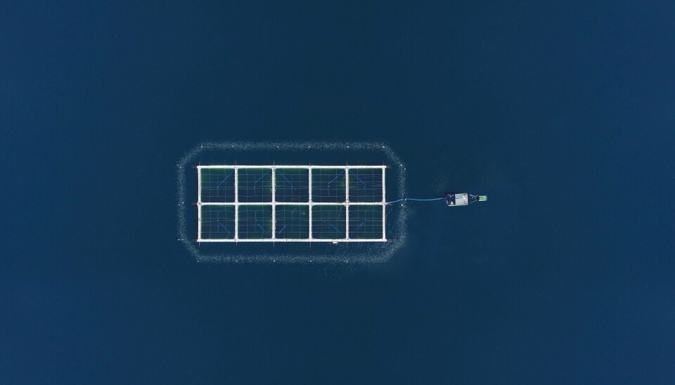 Centro de cultivo condiciones de hipoxia