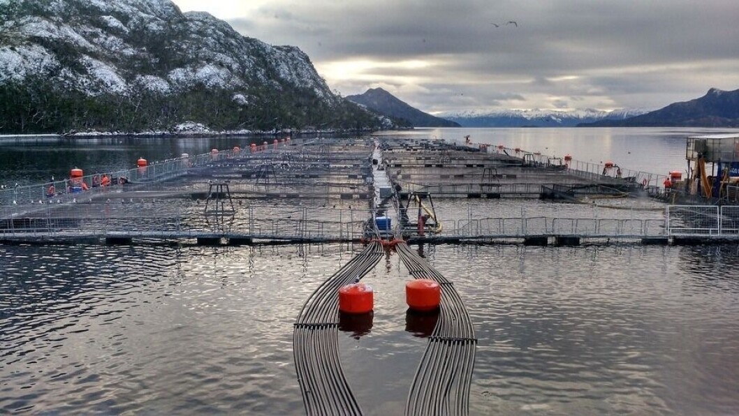Cultivo de salmones en Magallanes. Foto: Archivo Salmonexpert. Cultivo de salmones en Magallanes. Foto: Archivo Salmonexpert.