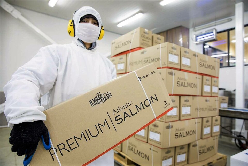 Foto: Asociación de Salmonicultores de Magallanes.