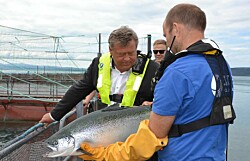 Fuerte aumento de envíos de salmón noruego por mayor acceso a China