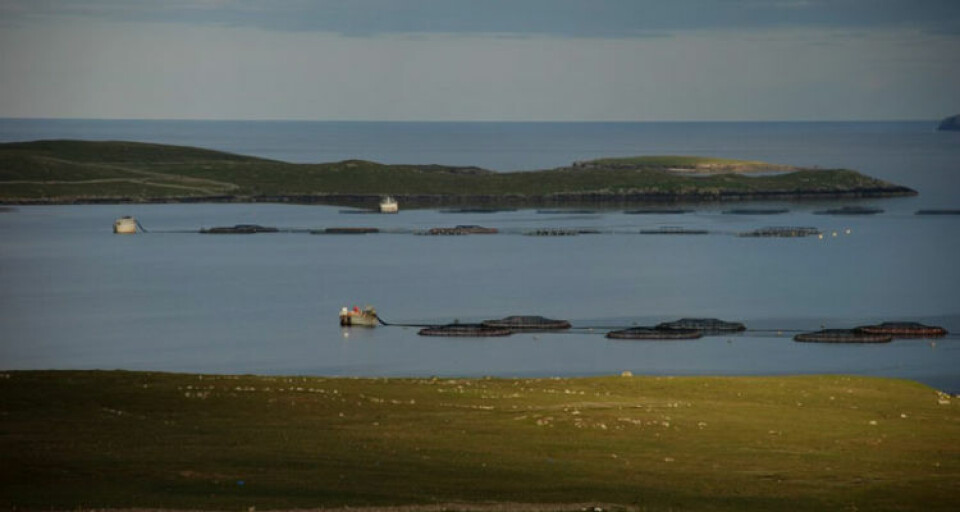 Centro de cultivo de Cooke en Shetland. Foto: Cooke.