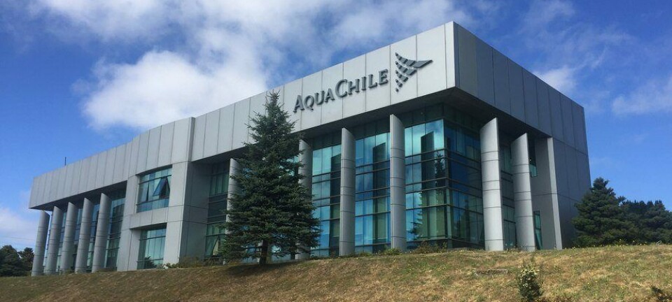Entregan concesión marítima al grupo AquaChile para fortalecer operación en Natales