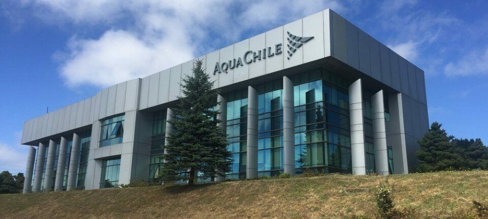 La ambiciosa meta financiera de AquaChile para incrementar la innovación