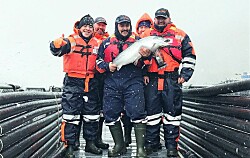Marca premium de salmón de Nova Austral se une a grupo de élite de productores de salmón cultivado