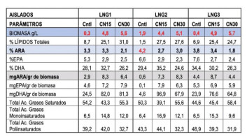 Perfiles lipídicos producción de biomasa cepas Thraustochytrium sp. LNG1, U. visurgensis LNG2 y Thraustochytrium sp. LNG3. Fuente: Presentación Dr. Patricio Dantagnan. Perfiles lipídicos producción de biomasa cepas Thraustochytrium sp. LNG1, U. visurgensis LNG2 y Thraustochytrium sp. LNG3. Fuente: Presentación Dr. Patricio Dantagnan.