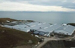 Gasco implementa innovadora solución energética en piscicultura Tierra del Fuego