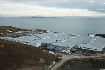 Gasco implementa innovadora solución energética en piscicultura Tierra del Fuego
